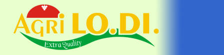 Logo Lo.Di.